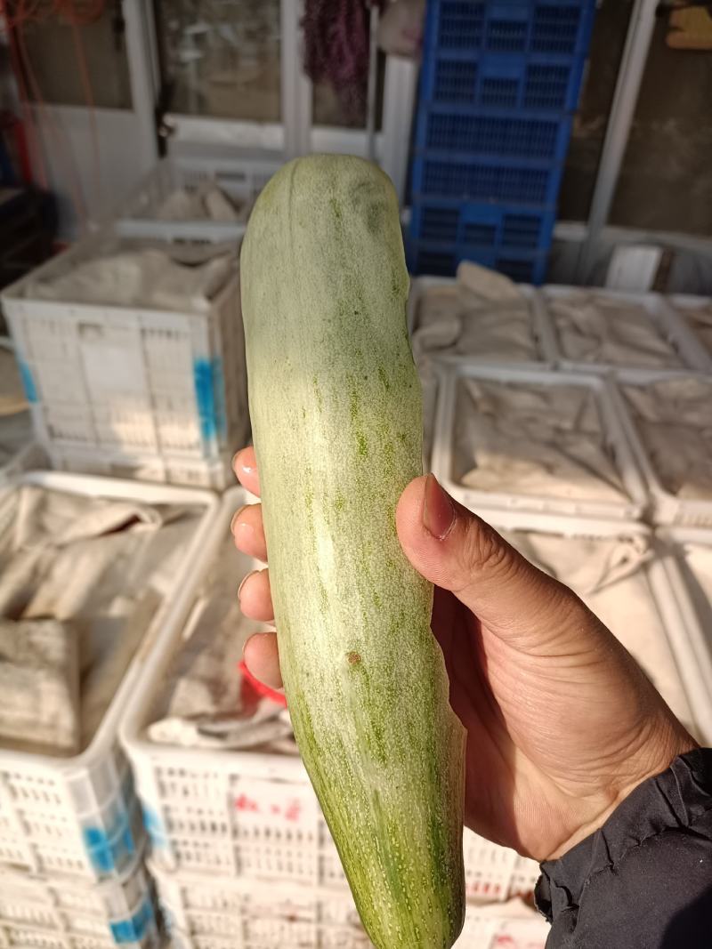 羊角蜜