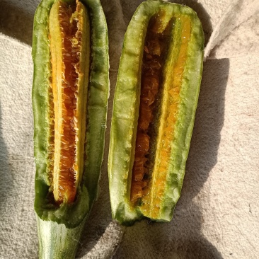 羊角蜜