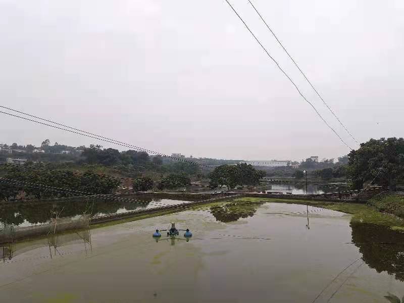 重庆永川60亩山庄转