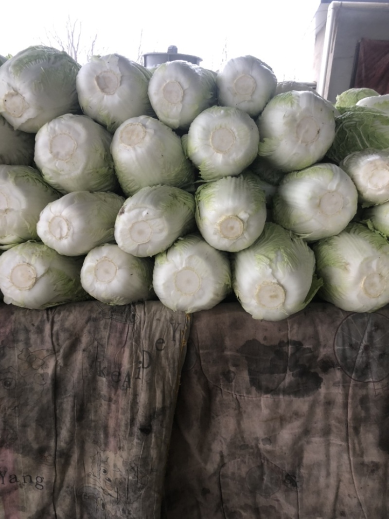 精品库存白菜，大量出库，需要的可以联系，价格不高