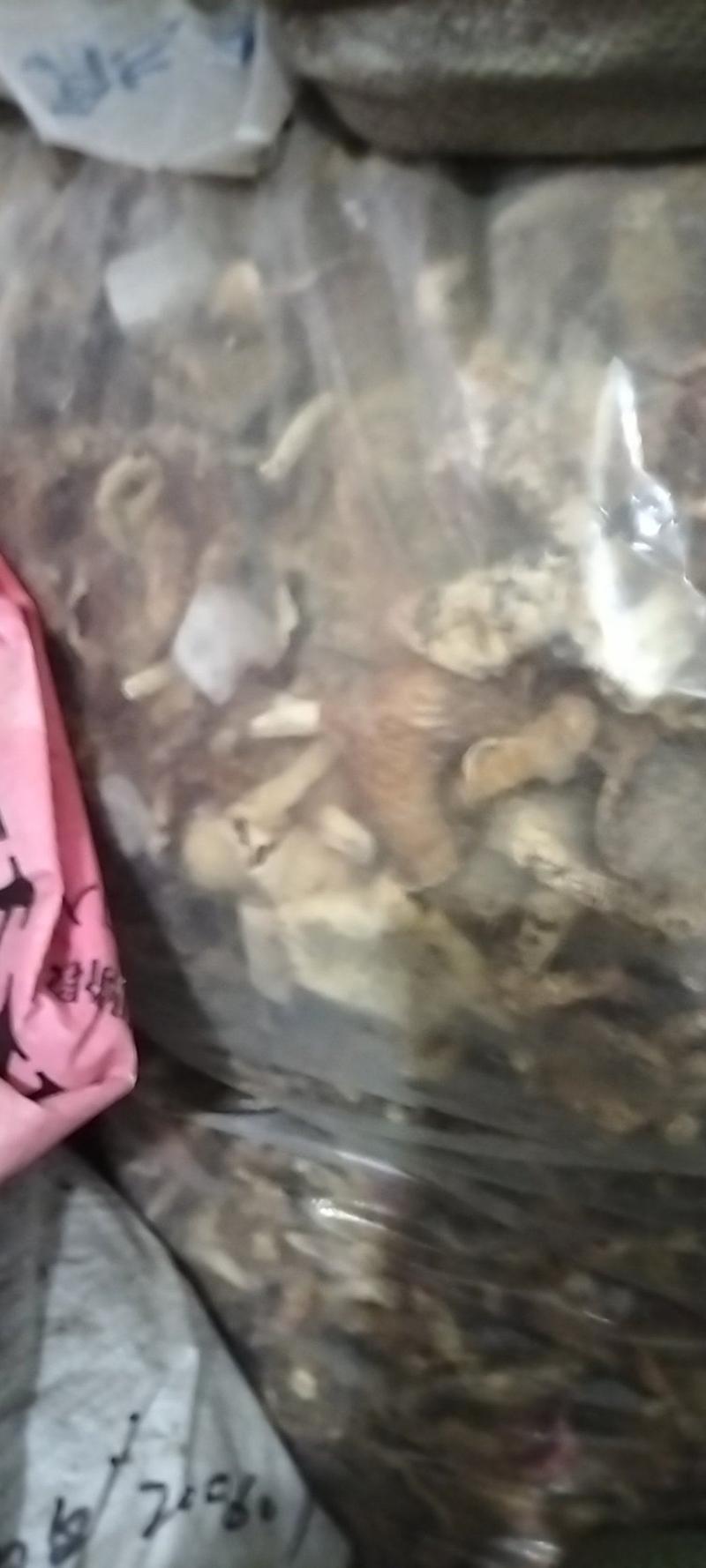 巴中食用菌多种杂菌组合，无硫无杂，产地直发欢迎联系