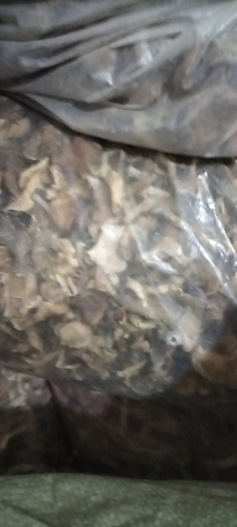 巴中食用菌多种杂菌组合，无硫无杂，产地直发欢迎联系