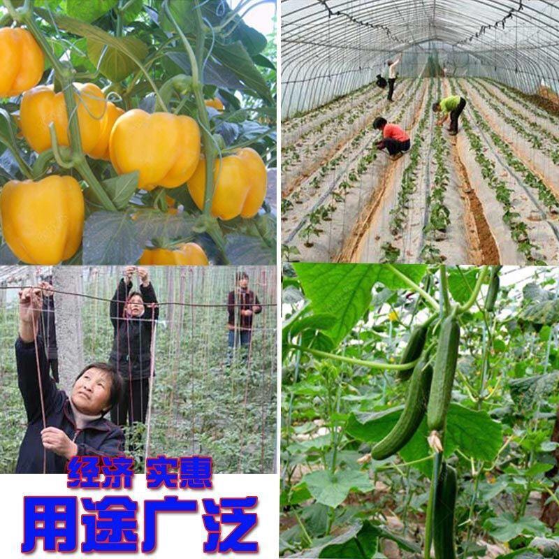 防晒抗老化PE吊秧绳吊蔓绳，西红柿黄瓜辣椒茄子等专用吊绳