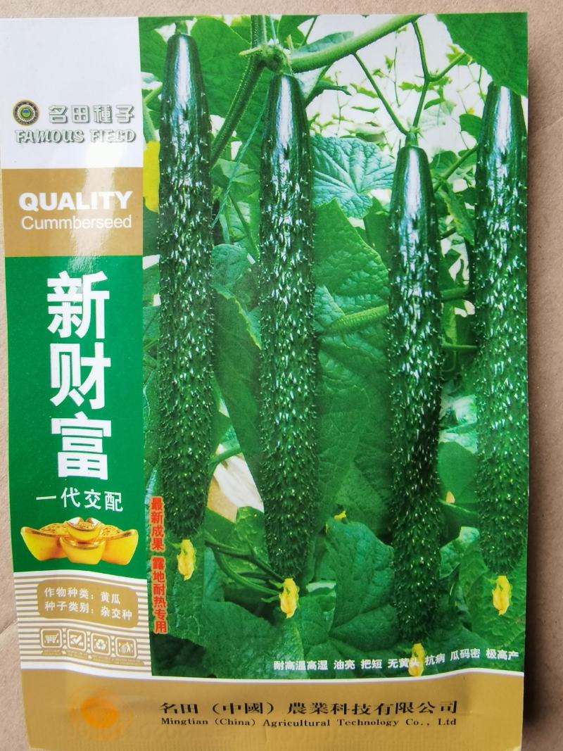 露地黄瓜种子优良品种新财富瓜条靓丽顺直品质好