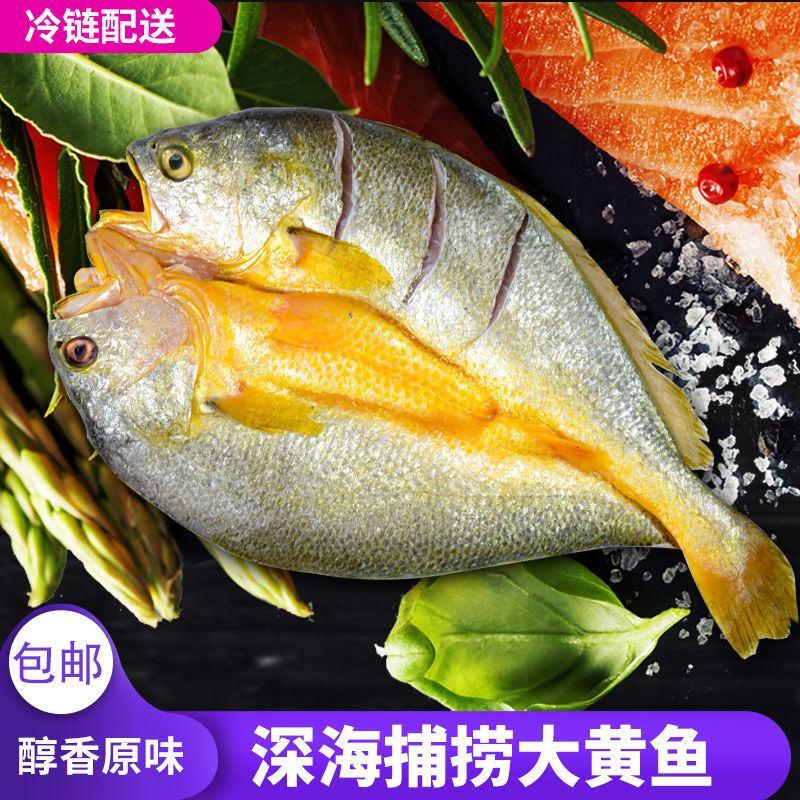 醇香黄鱼鲞咸鱼黄花鱼干新鲜大黄鱼冷冻水产鲜鱼海鲜批发