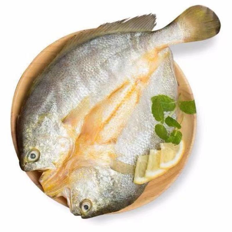 醇香黄鱼鲞咸鱼黄花鱼干新鲜大黄鱼冷冻水产鲜鱼海鲜批发