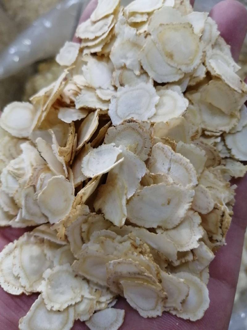 西洋参片