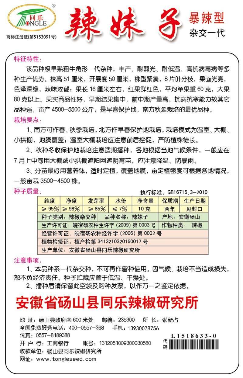 辣妹子辣椒种子尖椒种子红绿辣椒种子正品包邮