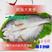 拉菲黄鱼新鲜黄花鱼腌制冷冻黄鱼速冻海鲜黄鱼鲞批发包邮