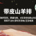 散养新鲜羊肉羊排带皮羊肉多部位羊肉选择多省包邮免运费