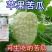 苹果苦瓜种子甘甜水果苦瓜种子台湾苹果苦瓜种子蔬菜种子