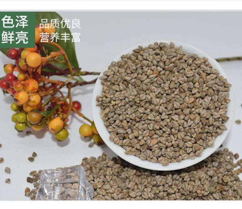 荞麦种子黑荞麦苦荞麦甜荞麦青稞种子周期短高产量