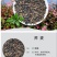 荞麦种子黑荞麦苦荞麦甜荞麦青稞种子周期短高产量