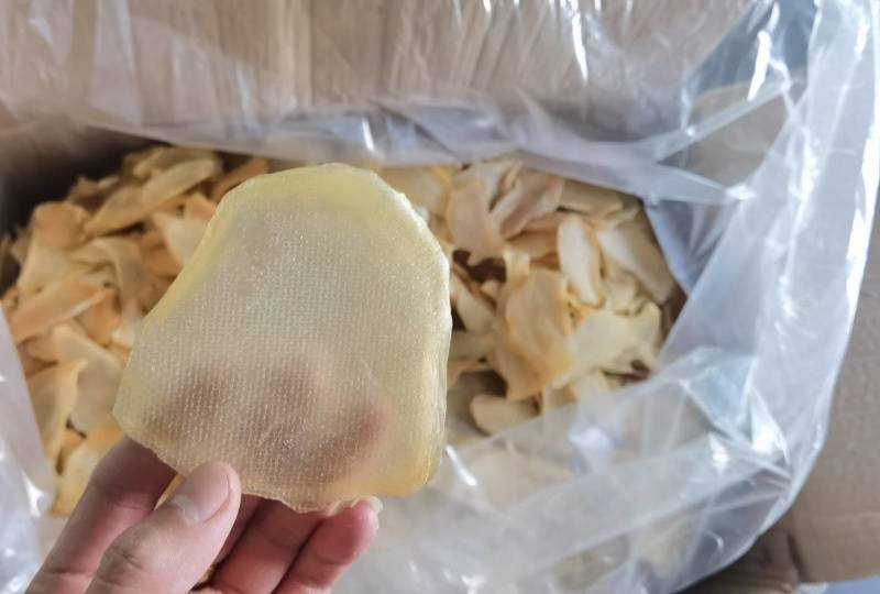 干海螺片