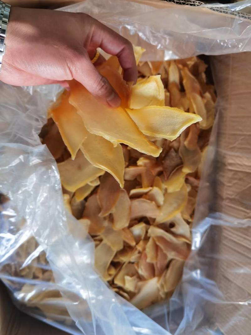 干海螺片