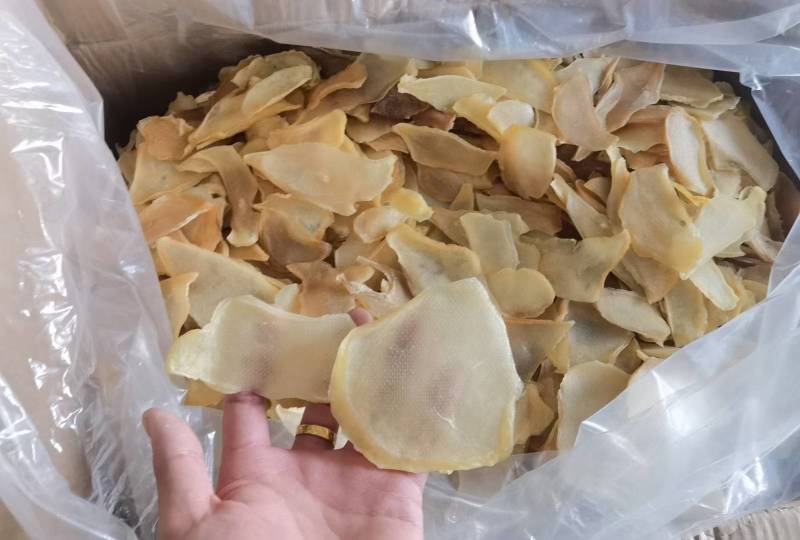 干海螺片