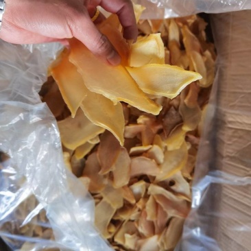 干海螺片