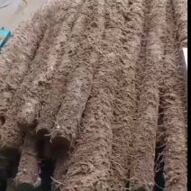 优质白玉山药，可以代发，可以代包装，优质的服务，精致的品