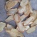 小草坝天麻片全无硫，什么规格都有