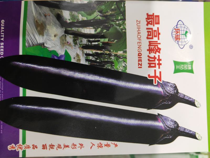 茄子种子中熟紫黑色光泽好蔬菜种子高产抗病耐运输耐储存包邮