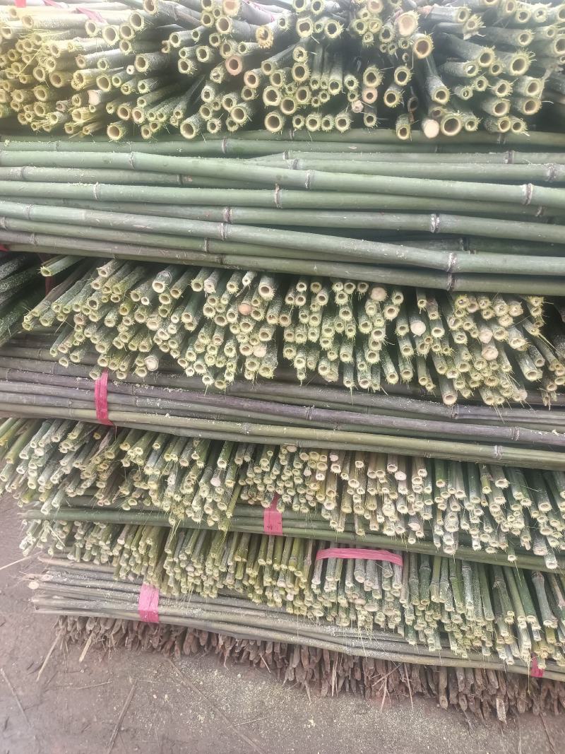 菜架竹竿子，火龙果架子，辣椒架，黄瓜，西红柿，豆角竹竿，