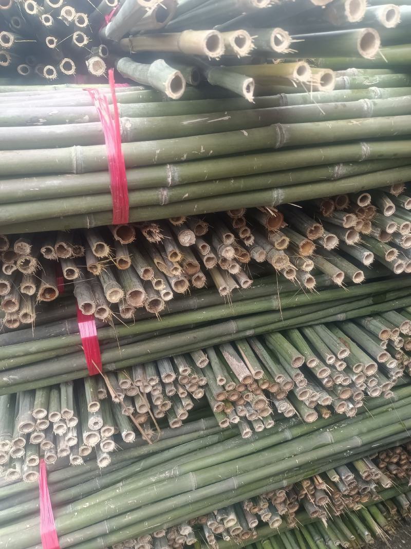 菜架竹竿子，火龙果架子，辣椒架，黄瓜，西红柿，豆角竹竿，