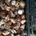 河北鲜香菇808香菇食品加企业可按工厂要求订单加工