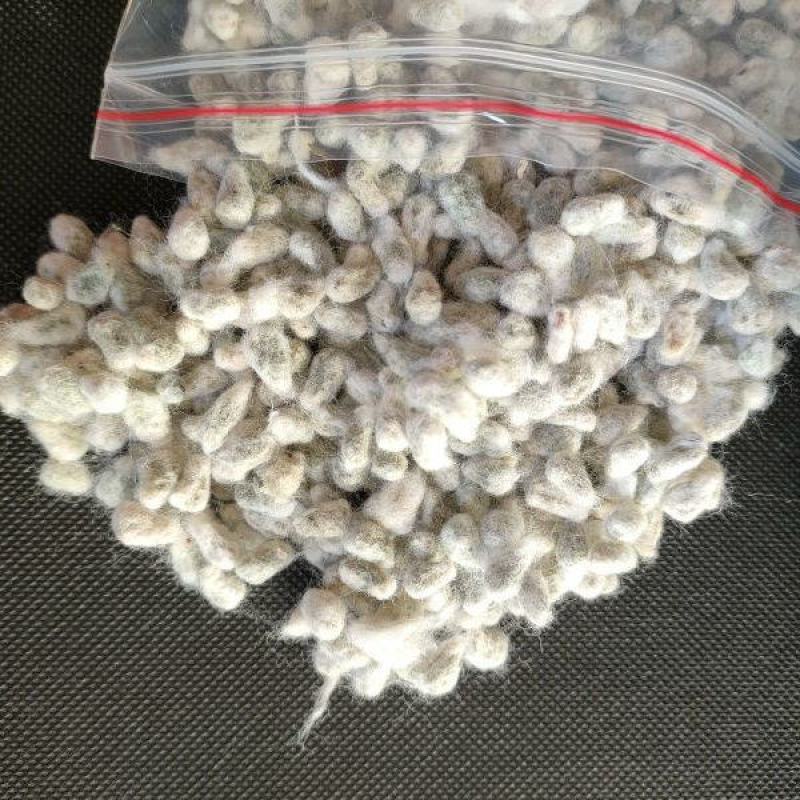 棉花籽批发零售中药材品质保证