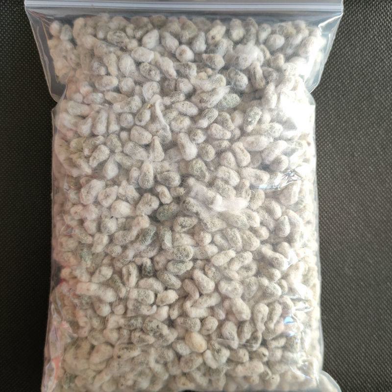 棉花籽批发零售中药材品质保证
