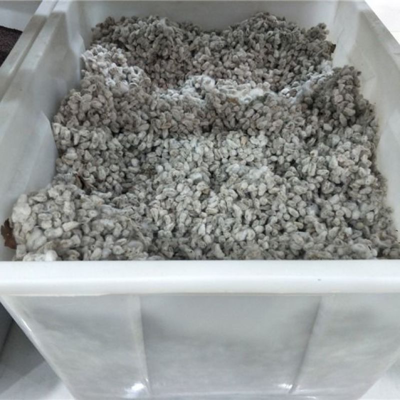 棉花籽批发零售中药材品质保证