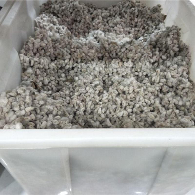 棉花籽批发零售中药材品质保证