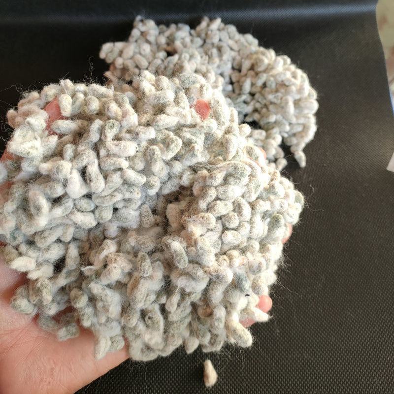 棉花籽批发零售中药材品质保证