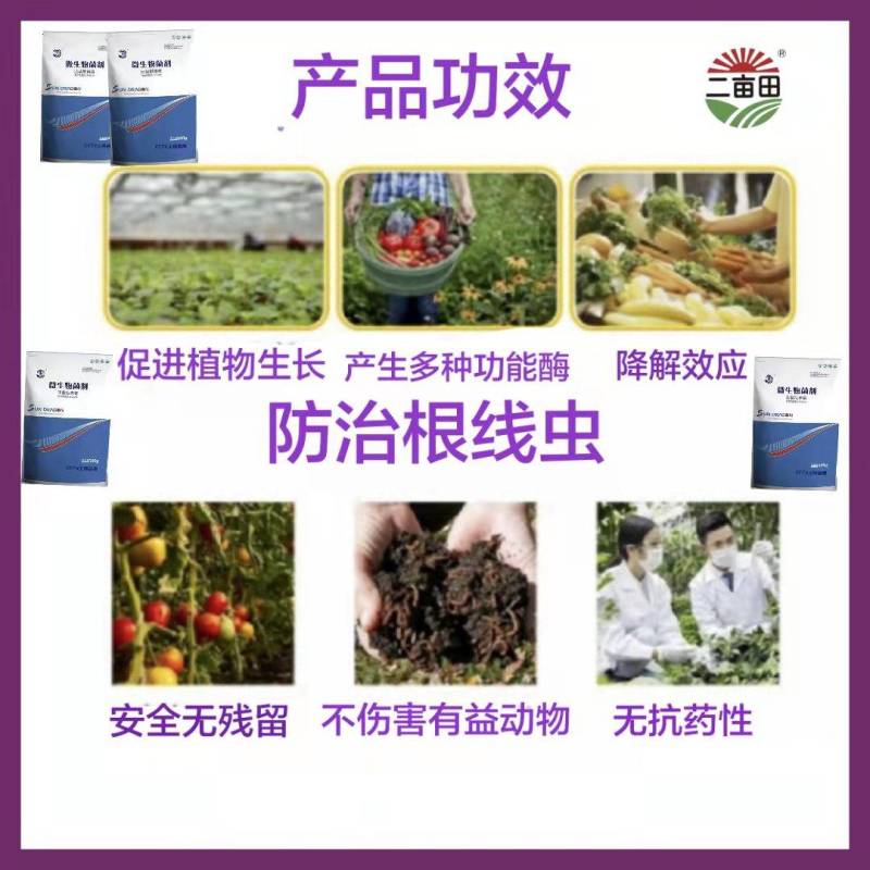 微生物菌剂淡紫拟青霉，治根结线虫可用于番茄黄瓜葡萄花卉