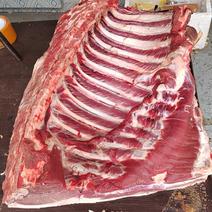 山猪肉黑猪肉藏香土猪肉肉质鲜美，没有肉燥味，批发
