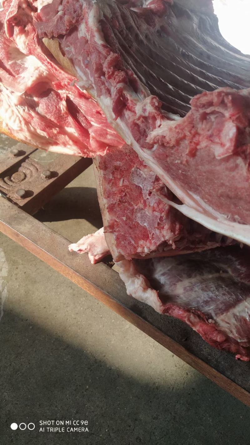 山猪肉黑猪肉藏香土猪肉肉质鲜美，没有肉燥味，批发