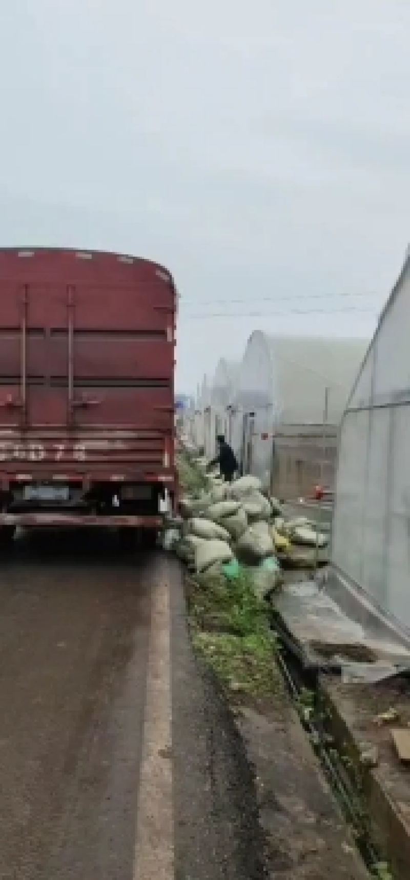 有机肥袋装蚯蚓粪山东场地养殖场地直接发营养土