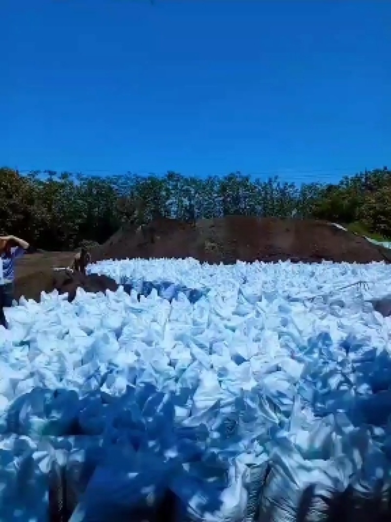 有机肥袋装蚯蚓粪山东场地养殖场地直接发营养土