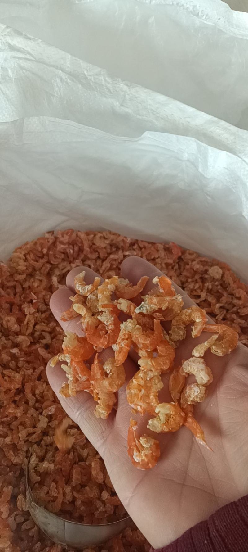 虾皮海米批发
