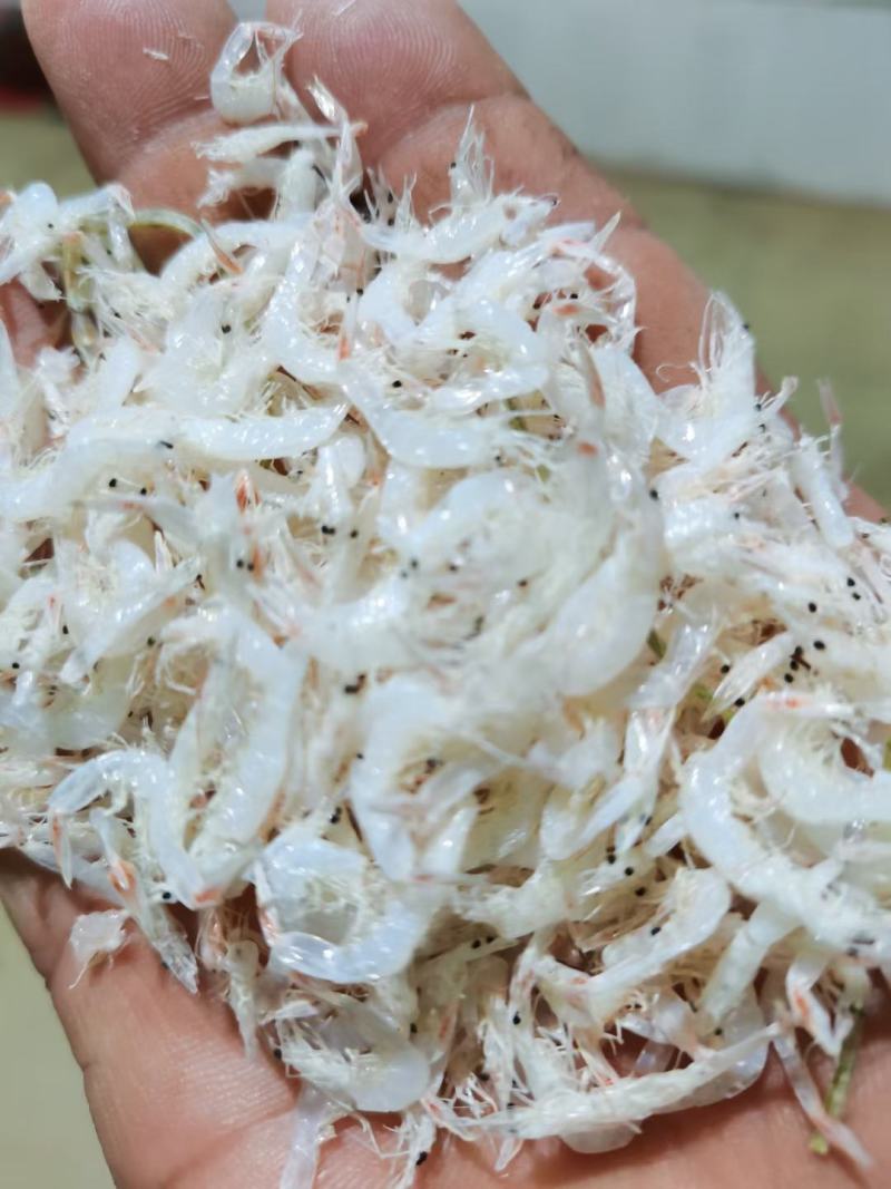 虾皮海米批发