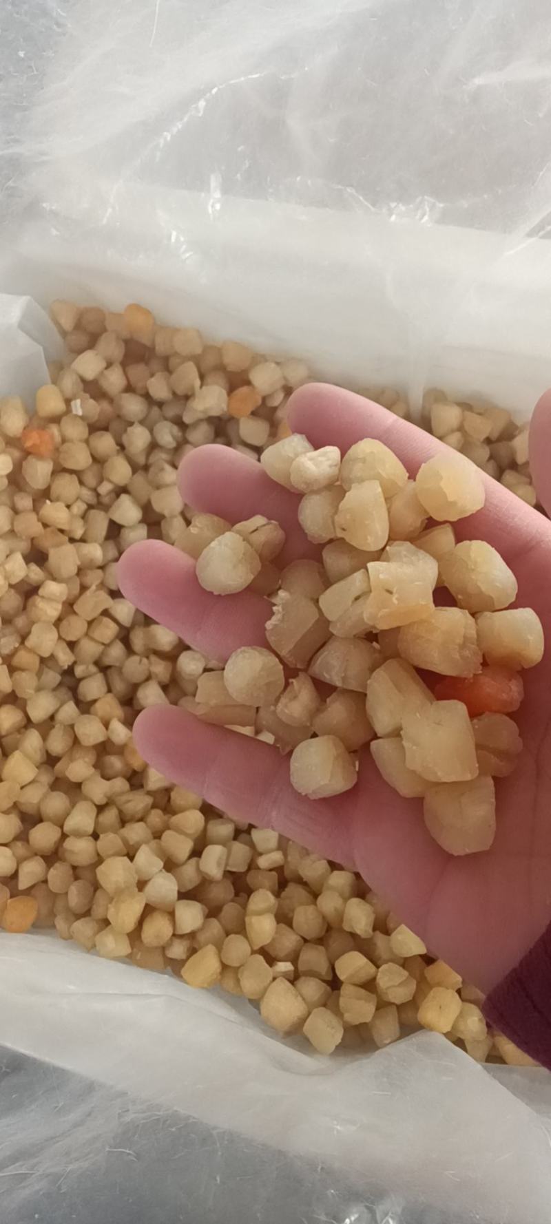 虾皮海米批发