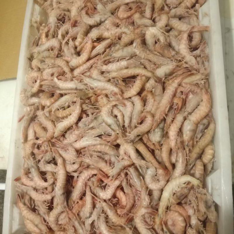 虾皮海米批发