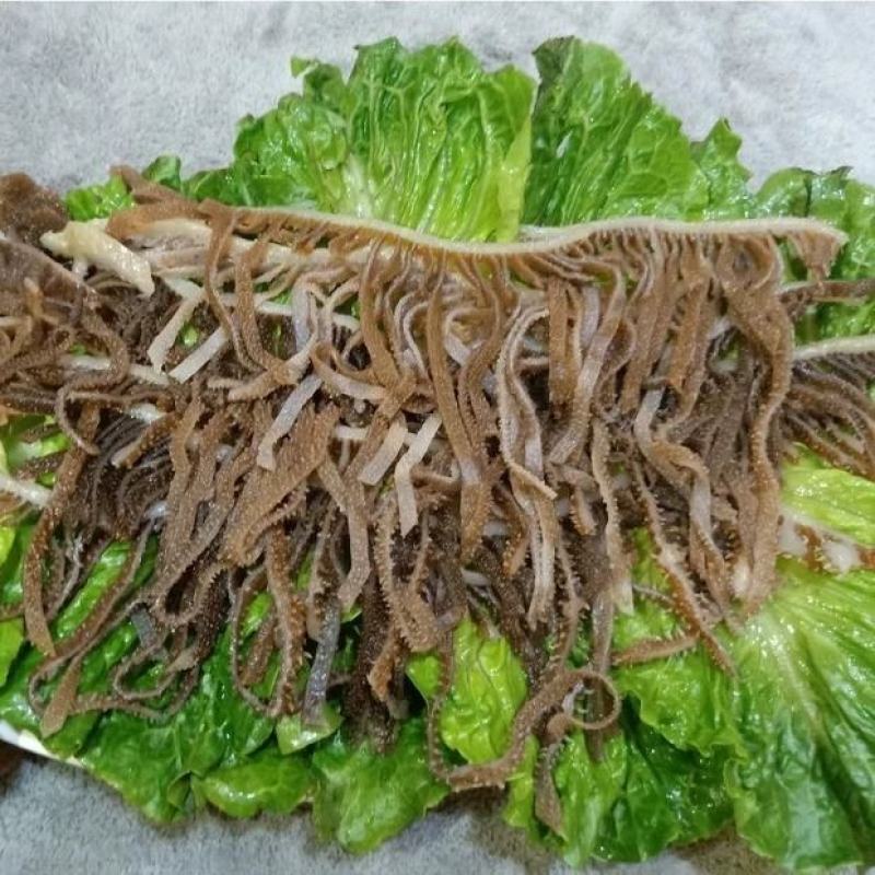 牛百叶大量供货。