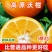 云南高原沃柑代发价批发对接商超电商微商直播平台