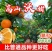 云南高原沃柑代发价批发对接商超电商微商直播平台