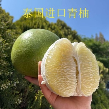 泰国进口安帕瓦青柚电商一件代发稳定出货包售后量