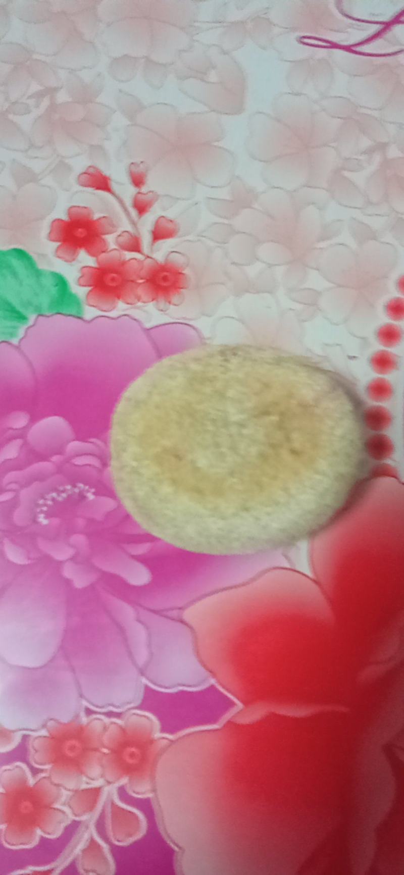 天然狗宝
