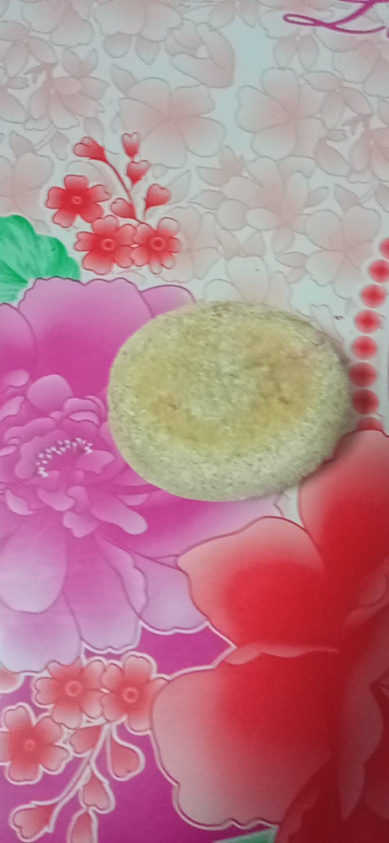天然狗宝