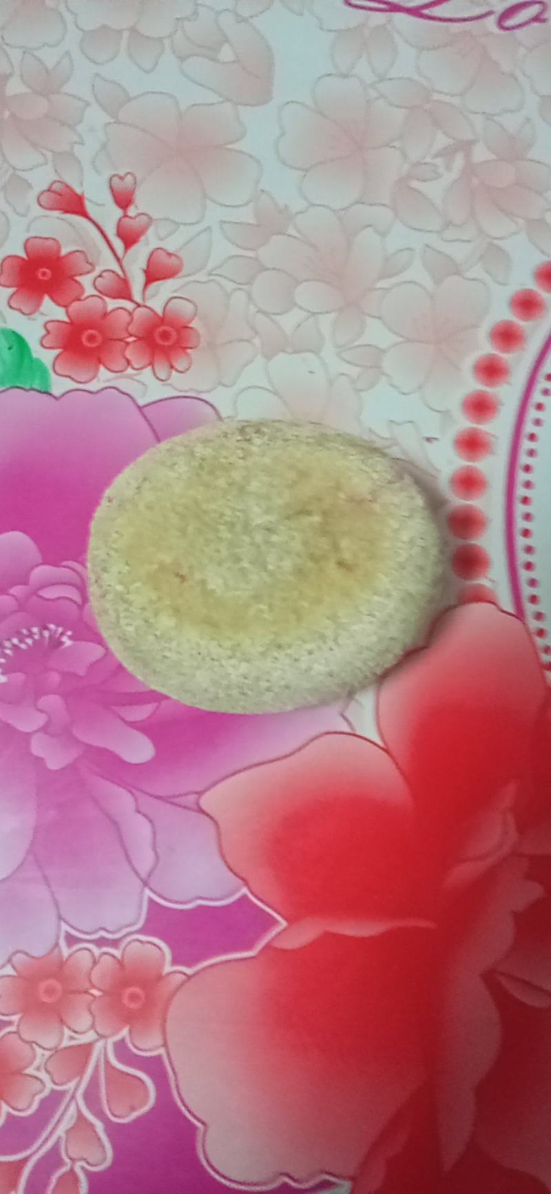 天然狗宝
