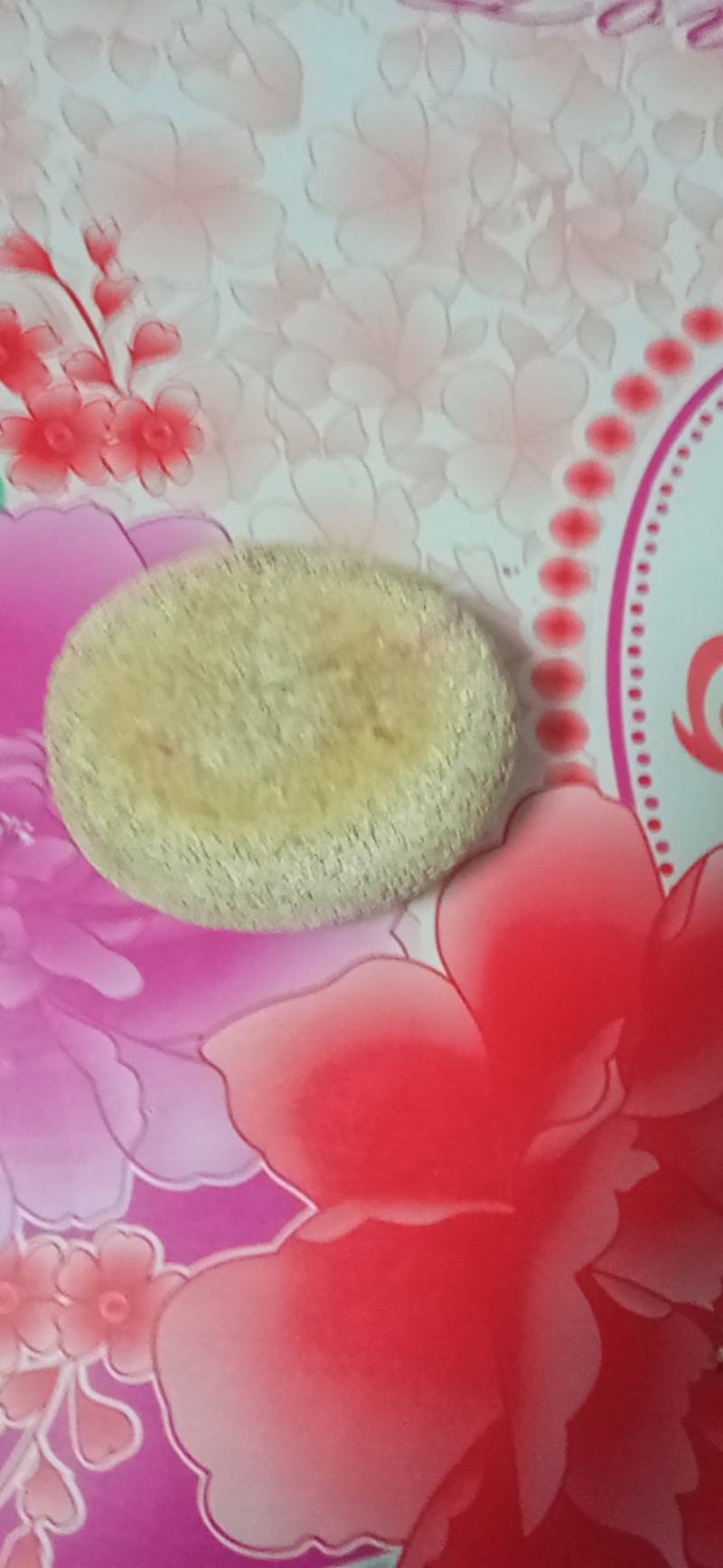 天然狗宝