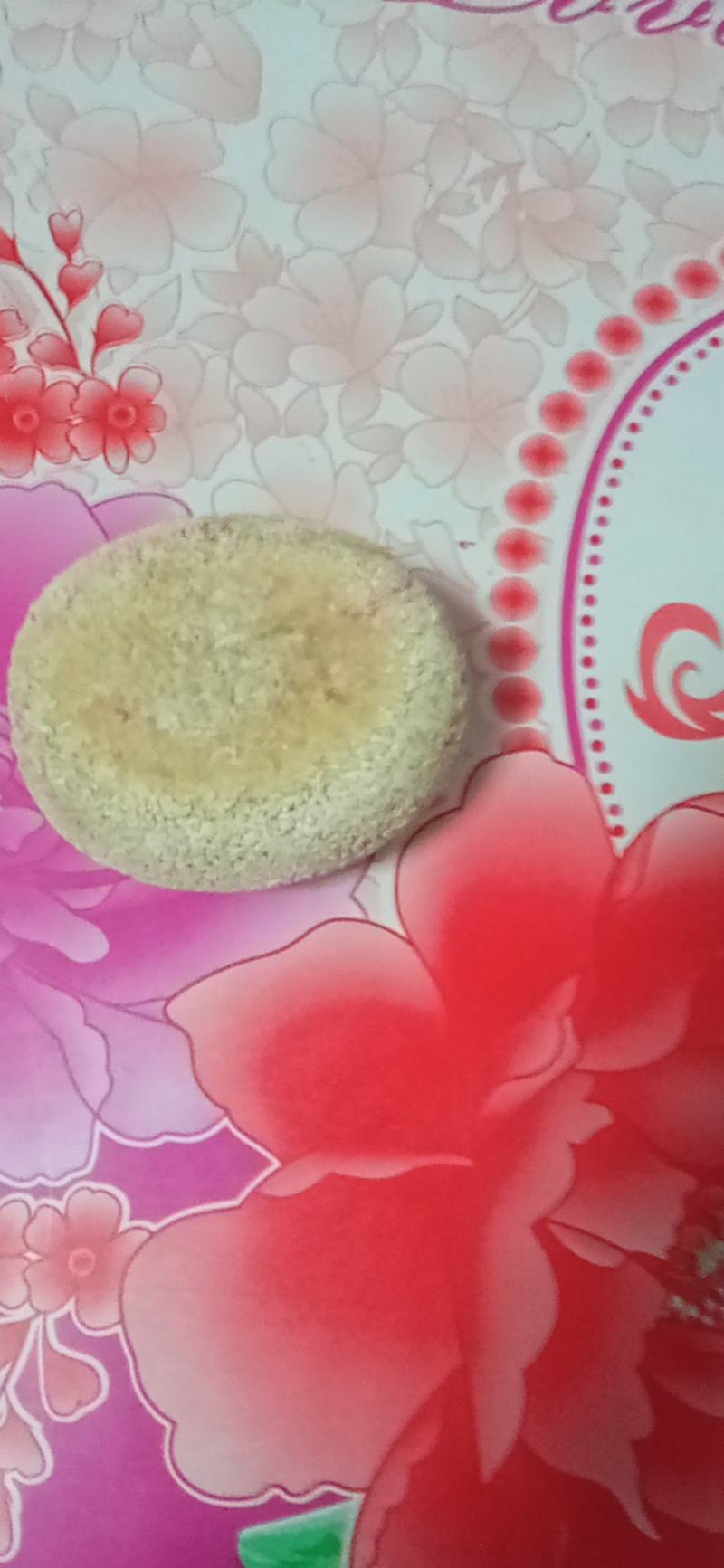 天然狗宝